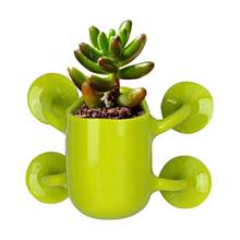 Creative Mini Flower Pots Bonsai Suction Cup Wall Flowerpot Flowers Cactus Culture Container Home garden wall hanging planter 2024 - buy cheap