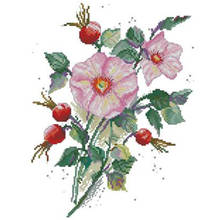 May wild rose-Conjunto de punto de cruz, bordado, decoración del hogar, 11CT, 14CT, 18CT 2024 - compra barato