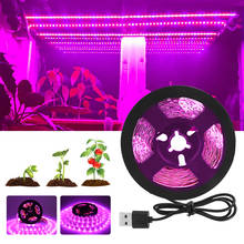 Full Spectrum LED Grow Light USB LED Strip 0.5m 1m 1.5m 2m 3m 2835 SMD LED Phyto Lamp for Greenhouse Hydroponic Plant Growing 2024 - buy cheap
