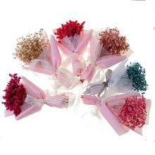 Flores secas decorativas mini margarida pequena estrela flores bouquet natural plantas preservar floral para o casamento decoração de casa 2024 - compre barato