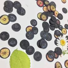 30pcs Dried Pressed Mini Fruit Blueberry Slices Plant Herbarium For Jewelry Photo Frame Phone Case Bookmark Making DIY 2024 - buy cheap