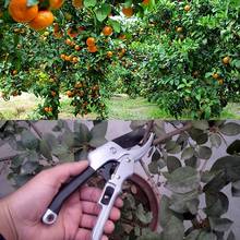 Polia para poda de frutas, galhos e frutas, ferramentas de aço carbono para jardinagem, tesoura de poda de bonsai 2024 - compre barato