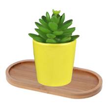 Oval Shape Bamboo Wood Saucer Plant Tray Mini Plant Stand Favor Succulent Pot Tray Simple Elegant Design Home Balcony Decor 2024 - buy cheap