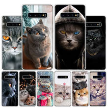 British Shorthair Cat Cover Phone Case For Samsung Galaxy A51 A71 A50 A70 A40 A30 A20E A10 A41 A31 A21S A11 A01 A6 A8 + A7 A9 Pl 2024 - buy cheap