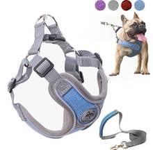 Arnés ajustable luminoso para mascotas, chaleco para cachorros, correa para perros, Bulldog Francés, medianos, pequeños y grandes, novedad 2024 - compra barato