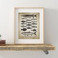 Printed Fishing Angling Freshwater Fish Retro Poster Wall Art Picture Breeds Of Fish Canvas Painting Home Decor For Living Room 2024 - buy cheap