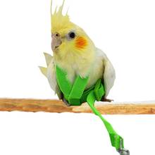 Pet Parrot Bird Harness And Leash Flying Rope Straps Outdoor Training Traction Rope For Budgerigar Cockatiel Supplies 2024 - buy cheap