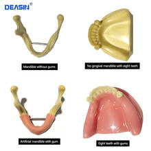 Modelo de dientes de práctica de implante Dental, con imitación de hueso (perforación), goma suave de silicona (corte/costura), mandíbula inferior, 1 ud. 2024 - compra barato