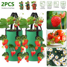 Vaso de jardim reutilizável para plantas, 2 pçs, 3 galões, de flores, morangos, vertical, cultivo de ervas, recipiente para plantar 2024 - compre barato