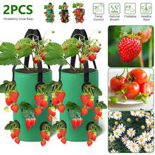 Macetas de jardín de 3 galones para plantas, bolsa de fresa Vertical, bolsas de cultivo de hierbas, maceta reutilizable, contenedor, 2 uds. 2024 - compra barato