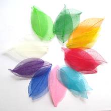 100pcs 6.5*3cm Random mixed color Natural skeleton leaves for Party Home Decor DIY Handmade Materials 2024 - buy cheap