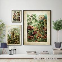 Биологические плакаты, принты пальмы, винтажные Колибри, ботанические тропические стены, искусство, холст, живопись, картины, Декор 2024 - купить недорого