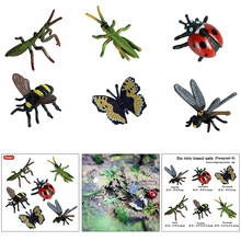 6 insectos de plástico, juguetes educativos para niños, fiesta temática de insectos 2024 - compra barato