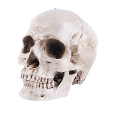 1:1 cráneo esqueleto modelo de escultura adornos patrón de cráneo de resina de enseñanza Bar símbolo de muerte arte decoración de esqueletos 2024 - compra barato