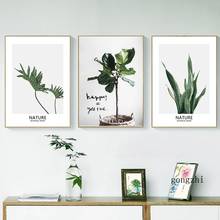 Постеры и принты из тропических натуральных зеленых растений в скандинавском стиле, Картина на холсте, скандинавские настенные картины для гостиной Dcor 2024 - купить недорого