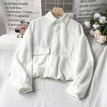 Women Blouse Autumn  Winter White Shirt Long-Sleeved Foreign Shirt Blusas Ropa De Mujer 2024 - buy cheap