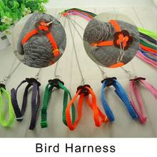 Colorful Parrot Bird Leash Outdoor Parrot Adjustable Harness Training Rope Anti Bite Flying Cross Band Bird Supplies 2024 - buy cheap