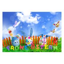 Outdoor Easter egg and bunny photo backdrop vinyl newborn photography backgrounds for photo Studio accessories fotografia GE-184 2024 - buy cheap