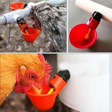 20pcs/set Chicken Drinker Drinking Cups Poultry Automatic Drinker  Water Bowl Drinker Cups for Backyard Chicken Flock Watering 2024 - buy cheap