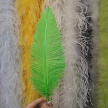 Nueva venta al por mayor 100 Uds fruta verde plumas de avestruz 40-45cm/16-18 pulgadas para decoración de boda Navidad manualidad casera 2024 - compra barato