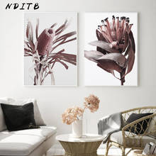 Protea-pôster floral em tela, flor nórdica, decoração de parede, pintura plantas escandinavo, decoração para sala de estar 2024 - compre barato