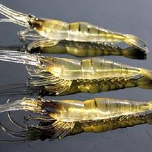 3Pcs Exquisite And Small Bionic Winter Fishing Bait Soft Shrimp Shape Bionic Baits Minnow Lures Crankbaits Fishing Tackle 2024 - buy cheap