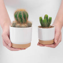 1PC Succulent Plant Pot Imitation ceramic plastic Pot Succulent Flowerpot Set With Bamboo Support For Desktop 2024 - buy cheap