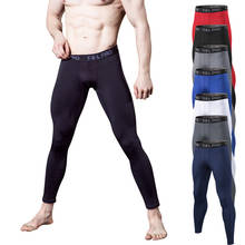 Летние спортивные обтягивающие Мужские штаны для фитнеса, тренировок, леггинсы, стрейч брюки, быстросохнущие, впитывающие влагу, компрессионные штаны, размера плюс 2024 - купить недорого