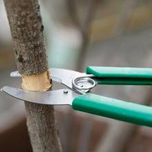Tijera para cortar ramas de árbol de jardín, herramientas de poda, tijeras para ladrar, L4MF 2024 - compra barato