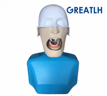 Dental manikins Phantom Head Sennior Simulation Teeth model with Torso for dentist practise teaching model 2024 - buy cheap