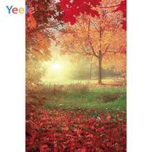 Yeele-fondos fotográficos personalizados para estudio fotográfico, Hojas de arce rojo, césped del bosque, sesión fotográfica de otoño 2024 - compra barato