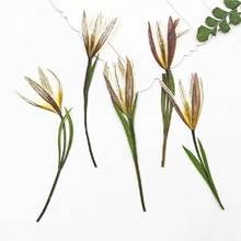 60pcs Pressed Dried Flower Tulipa edulis  For Epoxy Resin Jewelry Making Nail Art Craft DIY Bookmark Accessories 2024 - buy cheap