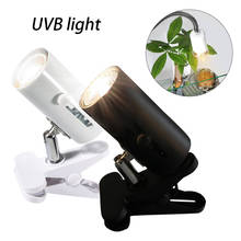 UVA + UVB 3,0 лампа для рептилий с зажимом, керамический светильник, держатель, гибкая черепаха, греющаяся ультрафиолетовая лампа, черепахи, светильник ящерицы 220 В 2024 - купить недорого