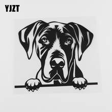 YJZT-calcomanía creativa de gran danés para perro, vinilo para coche negro/plata 8A-0045, 17,5 cm x 15,5 cm 2024 - compra barato