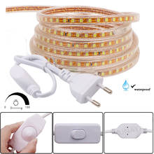 Ultra Bright 220V 240V LED Strip Waterproof White / Blue /Warm 120 LEDs/m SMD 2835 Dimmer Ribbon Tape Flexible LED Light 1m-25m 2024 - buy cheap