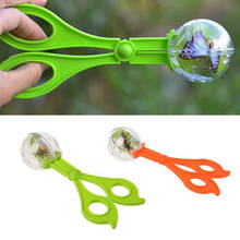 Clamp Toys Handy For Kids Collection Bug Clip Plastic Insect Catcher Scissors Educational Tweezers Camping Gift Random Color 2024 - buy cheap