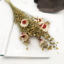 Natural Dried Beads Flower Bouquet,Eternal Real Plant For Wedding Party Home Table Decoration Accessories,Arrange Dry Flowers 2024 - buy cheap