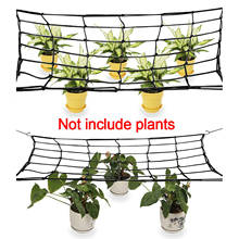 1pc Garden Plants Climbing Net Plastic & Nylon Net Morning Glory Flower Vine Netting Support Net Grow Net Holder Garden Netting 2024 - buy cheap