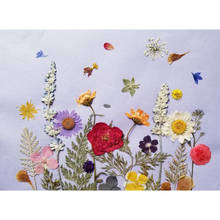 10 pçs flores secas naturais prensadas, para artesanato arte faça você mesmo, álbum de recortes 2024 - compre barato