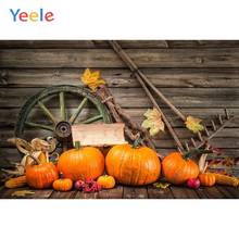 Autumn Farm Backdrop Countryside Pumpkin Harvest Wood Baby Shower Thanksgiving Background Photo studio Photocall Photophone 2024 - buy cheap