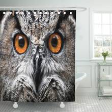 Orange Barn Owls Portrait Eyes Yellow Close Flying Animal Shower Curtain Waterproof Polyester Fabric 60 x 72 Inches with Hooks 2024 - buy cheap