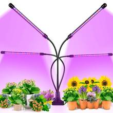 Phytolamp-luz Led para cultivo de plantas de interior, lámpara Flexible de espectro completo con temporizador USB, Clip para invernadero hidropónico 2024 - compra barato