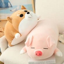 1pc 50-90cm kawaii shiba inu husky porco brinquedos de pelúcia adorável recheado macio animal travesseiro apaziguar almofada de dormir para crianças do bebê 2024 - compre barato