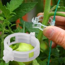 50/100Pcs Reusable Clear Hanging Plastic Vegetables Plant Vine Clips Clamp Gardening Tool Зажим для растений 2024 - buy cheap