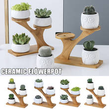 Suporte para vasos de flores 3 camadas, suporte de bambu para plantas em vaso, para uso interno e externo, combinação de cerâmica a1 2024 - compre barato