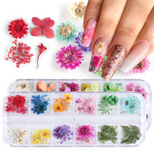 Mix Dried Flowers Nail Decorations Jewelry Natural Floral Leaf Stickers 3D Nail Art Designs Polish Manicure Accessories TRF01-10 2024 - купить недорого