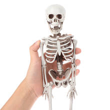 Esqueleto de anatomia humana ativo, modelo de esqueleto de esqueleto, aprendizagem médica, decoração de festa de halloween, esboço de arte 2024 - compre barato