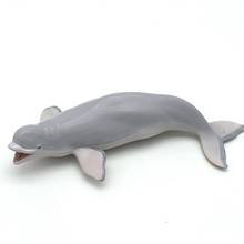 Реалистичные Белуга КИТ океан животных ПВХ Модель фигура обучающая игрушка детский подарок 2024 - купить недорого