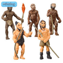 Simulation 5pcs/Set Human Evolutionary History Displays Figures Models Australopithecus To Homo sapiens Kid Educational Toy Gift 2024 - buy cheap