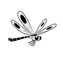 Pegatinas de vinilo con diseño de libélulas, calcomanías de 16x11,7 cm con diseño de animales, a la moda, bonitas e interesantes 2024 - compra barato